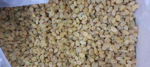 Indian Kismis, For Oil, Taste : Sweet