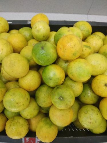 Natural Kachai Lemon Fruits, Feature : Safe Packaging, Non Harmful