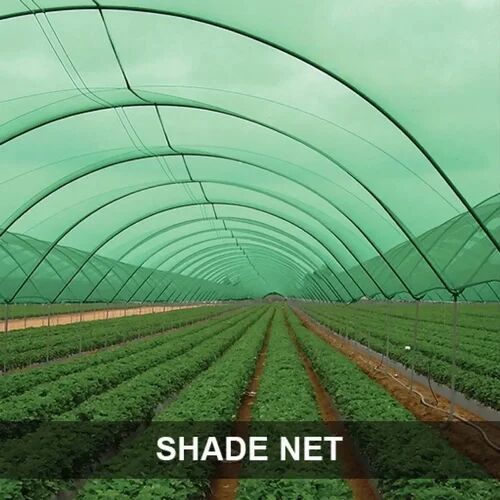 Green HDPE Shade Net, For Agriculture