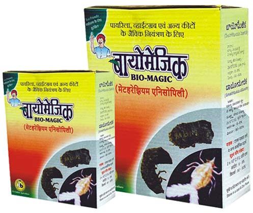 Bio-magic Metarhizium Anisopliae Bio Pesticide, For Agriculture, Packaging Type : 2 Kg, Paper Box