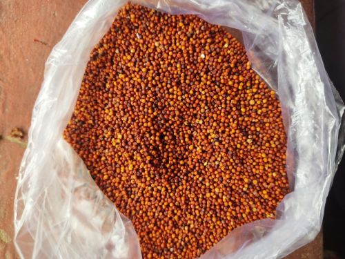 Yashoda Enterprises Ragi, Packaging Size : 39