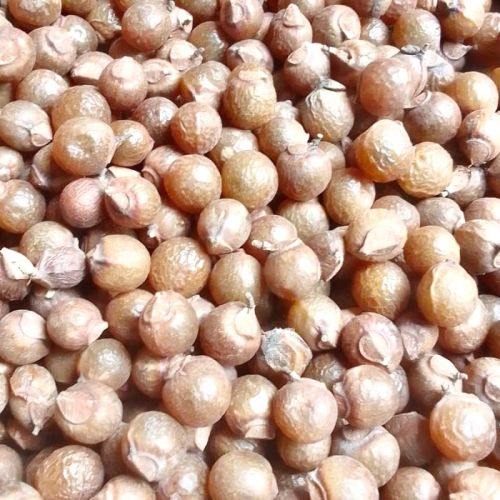 Dry Soapnut, Purity : 100%