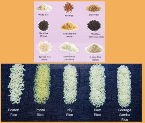 Biryani GMO Parboiled Rice, For Human Consumption, Food, Cooking, Packaging Type : Jute Bags