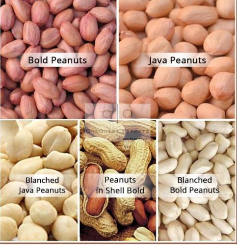 Peanut, For Oil, Cooking, Shelf Life : 12 Months