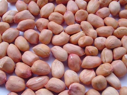 Light Red Raw 50/60 Java Groundnut Kernel, For Butter, Cooking Use, Making Oil, Packaging Type : Jute Bag