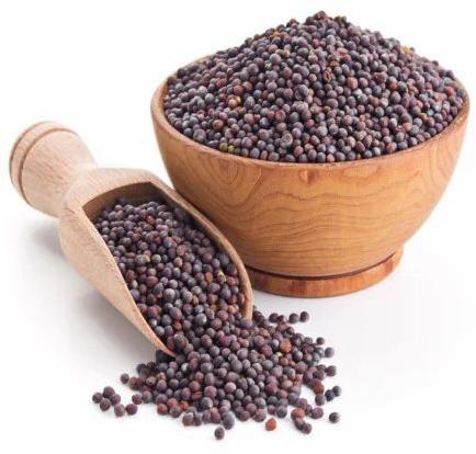 Brown Mustard Seeds, For Spices, Packaging Size : 1kg