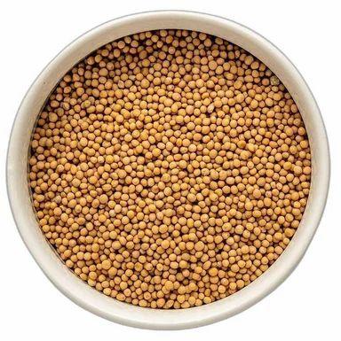 Yellow Mustard Seeds, For Cooking, Packaging Type : Plastic Packet