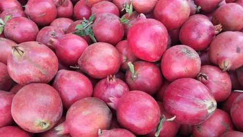 Natural Fresh Pink Pomegranate, For Human Consumption, Packaging Type : Bag