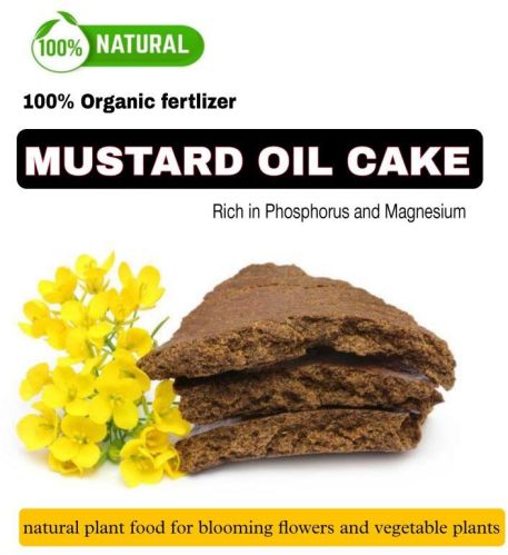 100% Pure Mustard Oil Cake, For Animal Feed, Cattle Feed, Packaging Type : Curated Box