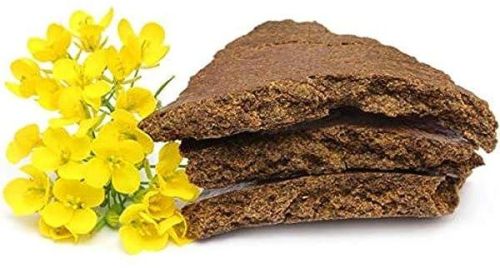 Pure Mustard Cake, For Animal Feed, Cattle Feed, Used Animal Feeding, Packaging Type : Curated Box