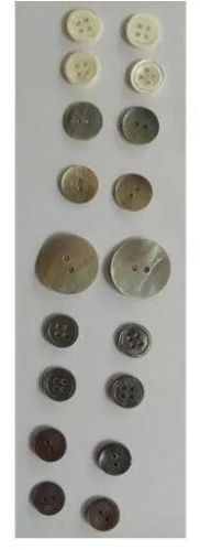 Round Garment Shell Button