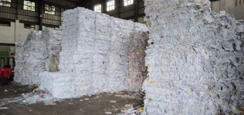 Old News Papers, Brand Name : OINP, Variety : Hindi, English