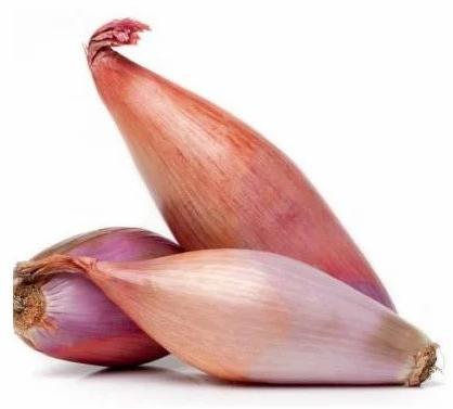 Natural Fresh Shallot Onion, Packaging Type : Net Bags