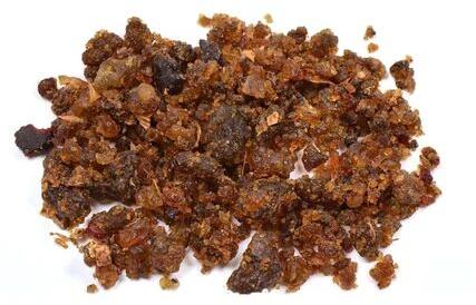 Guggul Extract, Botanical Name : Commiphora Mukul