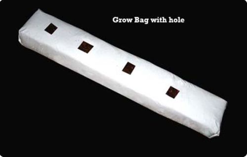 Coco Peat Grow Bag