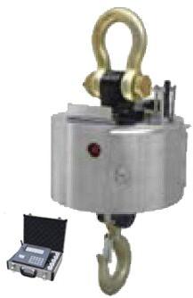 Crane Scale With PDA