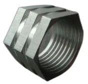 Stainless Steel Hex Fitting Insert, Size : 36 Mm