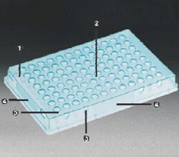 THIN WALL PCR PLATE L