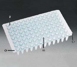 THIN WALL PCR PLATES