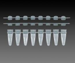 THIN WALLED L PCR REACTION STRIPS