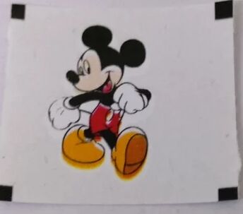 Temporary Body Tattoos, Size : 30*30 Mm