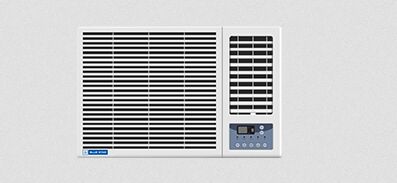 Blue Star  Window Inverter AC