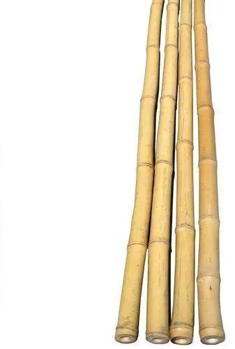 Natural Bamboo Pole, Length : 2-36 Feet