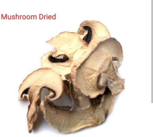 Brown Dried Mushroom, For Cooking, Shelf Life : 3 Months