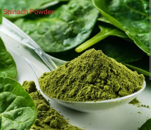 Spinach Powder, Packaging Type : Vaccum Pack