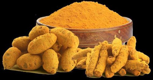 Common Dry Turmeric Powder, For Ayurvedic Products, Cooking, Cosmetic Products, Herbal Products, Medicine