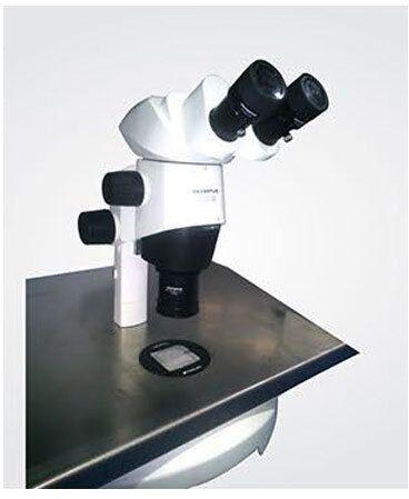 Olympus Stereo Microscope