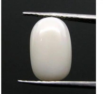 Oval White Coral Stone, For Jewellery