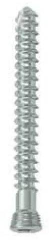 Silver SS Locking Head Cancellous Screw