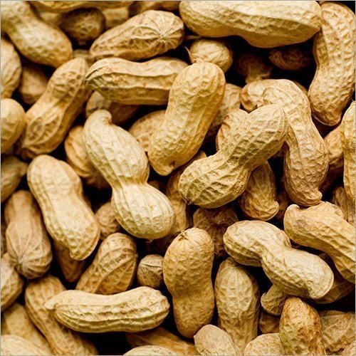 Groundnut Inshell, For Oil, Herbal Formulation, Cooking, Ayurvedic Formulation, Shelf Life : 6 Months