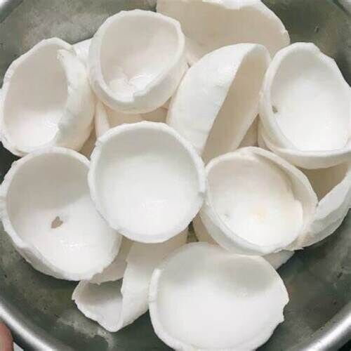 Light White Organic Frozen Coconut Meat, For Food, Certification : FSSAI