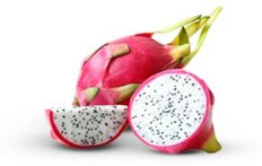 Organic White Flesh Dragon Fruit