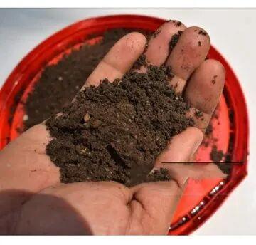 Vermicompost Organic