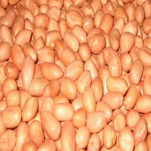 Groundnut