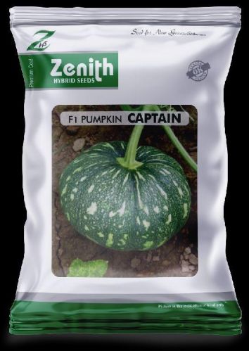 Green Natural Captain Hybrid Pumpkin Seeds, For Agriculture, Style : Dried