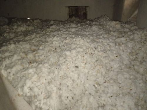 White Raw Cotton, For Textile Industry, Feature : Premium Quality