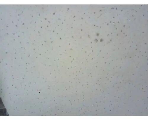 POP Ceiling Sheet, Color : White