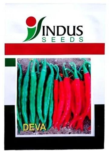 Hybrid Red Chilli Seeds, Packaging Size : 100 G