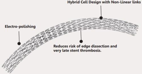 Everolimus Eluting Coronary Stent System