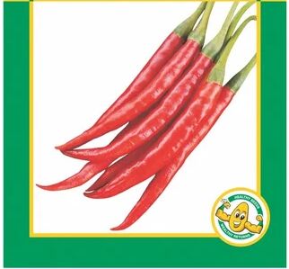 Hybrid Chilli Seeds, Packaging Size : 10 Gm