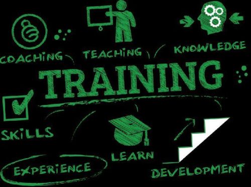 Train-the-Trainer Training