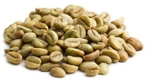 Raw Coffee Beans, Packaging Type : Loose
