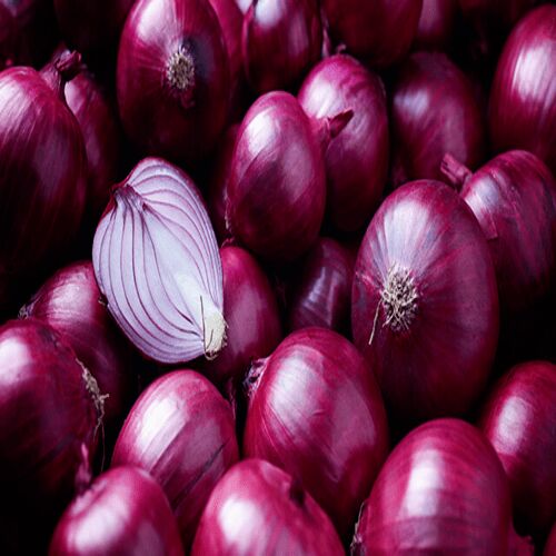 Round Organic Onions, For Cooking, Home, Hotels, Certification : FSSAI Certified