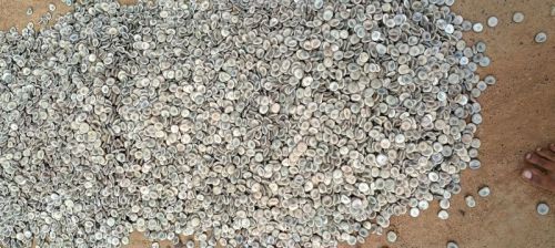 Nux Vomica Seeds, Packaging Size : 30-50 Kg, Moisture : 2%