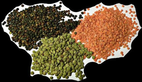 Common Lentils, For Cooking, Certification : FSSAI