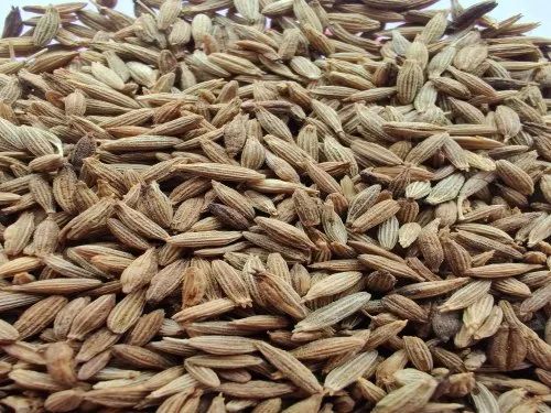 Raw Natural Brown Cumin Seeds, Packaging Size : 10 Kg